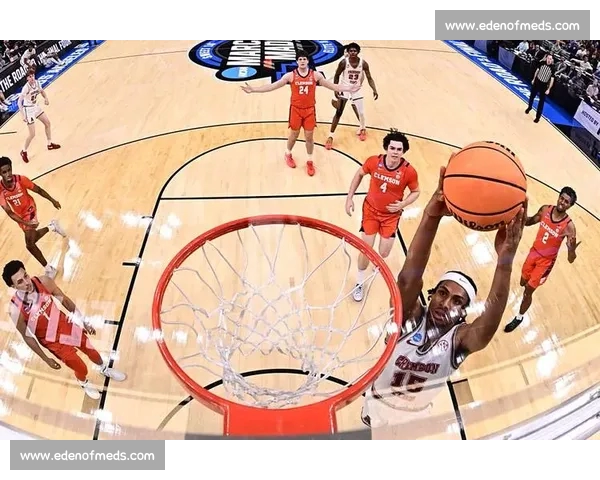 NBA直播官网入口权威指南畅享高清赛事实时观看平台全面攻略