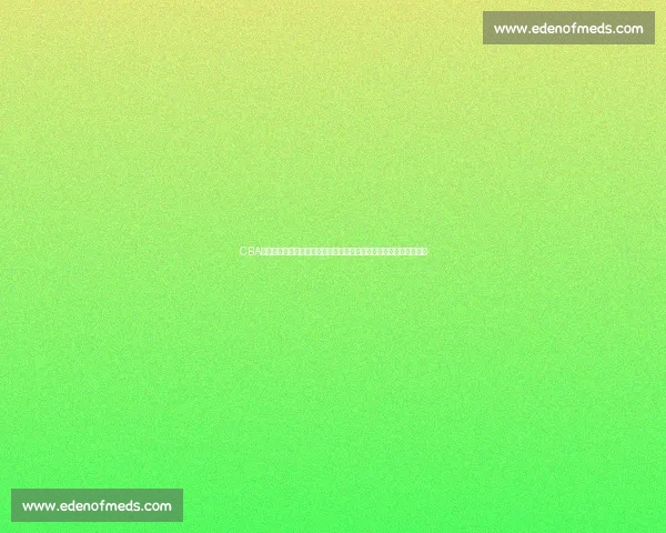 CBA焦点战收官卫冕冠军力克强敌稳居榜首延续连胜势头掌控争冠主动权